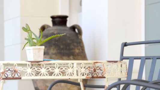 Percebes-bnb-6